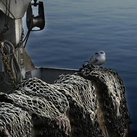 Διαμέρισμα Location Ονφλέρ