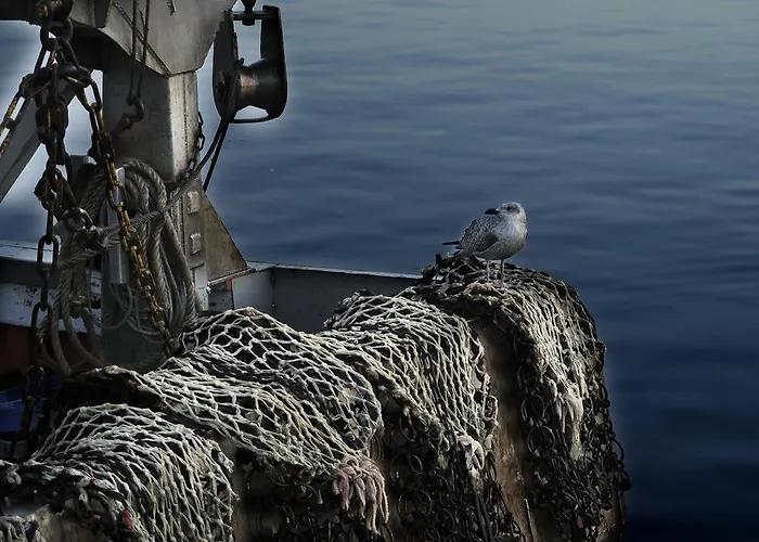 Apartment Location Honfleur